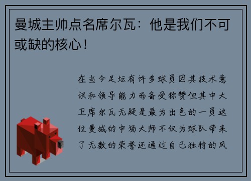 曼城主帅点名席尔瓦：他是我们不可或缺的核心！